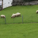Rural El Gran Duque Вальявисьоса