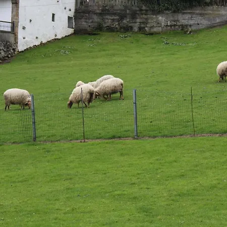 Rural El Gran Duque Villaviciosa (Asturias)