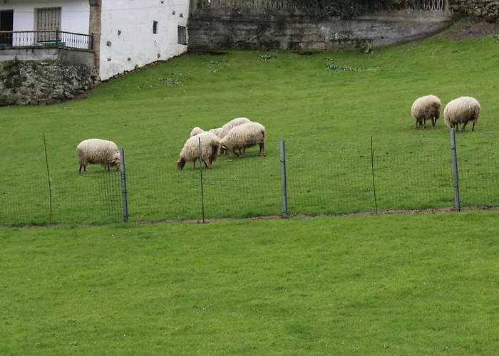 Rural El Gran Duque Villaviciosa (Asturias)